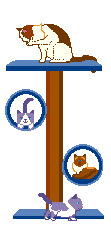 Cats on pole catroon
