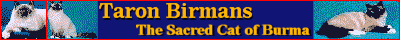 Visit Taron Birmans Site