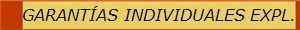 GARANT�AS INDIVIDUALES EXPL.