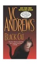 Black Cat Cover