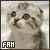 Kitties! <3