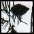 Lauryne -- O.L. Friend -- Copyright Surrie 2003
