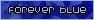 forever blue