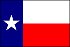 Texan flag