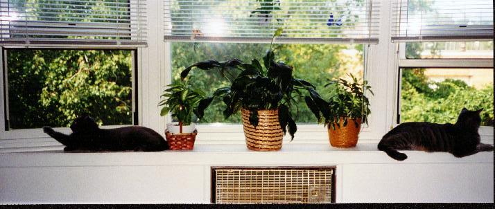 Bookends