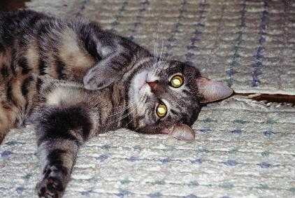 I am too cute!