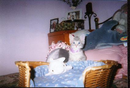 Baby Flip