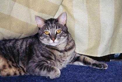 I'm so handsome