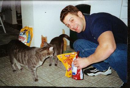 cat food