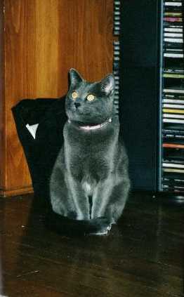 Roxanne