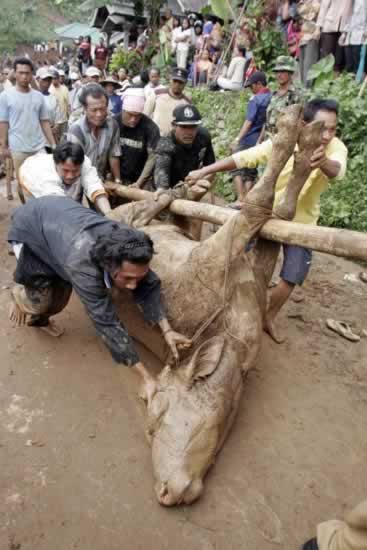 Huracanes tornados destrozos fotos imagenes fenomenos climaticos rayos truenos tormentas ojos investigaciones destrucciones argentina estados unidos mexico temporales www.wetherchannel.com pronosticos John Travolta,Nicholas Cage,Contracara,cirugias esteticas,rostro,lipoaspiraciones,medicina,cirujanos,operaciones,Maria Reich,Nazca,lineas,calendario astronomico,Peru,dibujos,astronomia,geometria,Bernd Teichert,mapas,Ana Mar&iacute;a Cogorno,ovnis,misterios,Cristobal Colon,Hernando,Diego,catedral Sevillana,Cartuja Pickman,Jos&eacute; Antonio Lorente,Granada,ADN;restos,Marcial Castro,antropologia,Republica Dominicana,www.egipto.com,Egipto,Keops,piramides,descubrimientos,Aton,Ankh,tumbas,sarcofacos,momias,embalsamamientos,Kefren,camaras secretas,Nefertiti,Amenofis,Nilo,inundaciones,Blade Runner,Ridley Scott, Richard Dawkins,Steven Pinker,Harrison Ford,Stephen Minger,Stanley Kubrick,Daryl Hanna,replicantes,androides,ciencia ficcion,Contactos,SHGb02+14a,proyecto SETI,Search for Extra Terrestial Intelligence,SETI@home,Robert Zemeckis,Jodie Foster,Dan Wertheimer,New Scientist,Arecibo,Puerto Rico,civilizaciones extraterrestres,Ma libert&eacute; de penser,Florent Pagny,Argentina,France,Patagonia,Argentine,Azucena Caama&ntilde;o,Savoir aimer,artistes,musique,musica,CD,cantores,ventas,compras,ranking,Paparazzi,Isabel Sartorius,Borbon,Ortiz Pati&ntilde;o,Vallejo Najera,Entrecanales,Mora Figueroa,Antonio Montero,Sainz Vicu&ntilde;a,Espa&ntilde;a,jet set,Mallorca,Ibiza,John Fitzgerald Kennedy,Lee Harvey Oswald,Vitaliy Fadeyev,Lawrence Berkeley,Carl Haber,Fidel Castro,Lyndon B. Johnson,Jackie,Onassis,Irma Roy,Carolina Papaleo,Osvaldo,diputada nacional,Congreso,Argentina,Raul Granillo Ocampo,politica,justicialismo,peronismo,cine,television,La Horqueta,San Isidro,que se vayan todos,diciembre 2001,2002,2003,2004,maria julia alsogaray,alvaros,,Roberto Mart&iacute;nez Medina,Maria Julia Alsogaray,Ra&uacute;l Granillo Ocampo,Jorge Rodr&iacute;guez,V&iacute;ctor Alderete,Claudia Bello,Angel Massa,Alfredo Yabran,Mario Pontaquarto,Nestor Carlos Kirchner,Cristina Elizabeth Fernandez,corrupcion,senado,general rodriguez,anibal,fernandez,alberto,fernando de la rua,ines pertine,eduardo duhalde,hilda chiche gonzalez,2000,2001,2002,2003,2004,Museos,www.louvre.fr,Leonardo Da Vinci,Gioconda,Mona Lisa,Italia,Francia,France,inventos,Italy,renacimiento,historia,cuadros,links,images,postcards,photos,fotos,imagenes,postales,pictures,historia,arqueologia,descubrimientos,culturales,agenda,infodiario,diario accion,buenos aires,argentina,Diario Accion de General Rodriguez, politica, actualidad, noticias e informacion, personalidades e instituciones, policiales, galerias de fotos; historia de General Rodriguez, sus origenes, edificios, estancias, habitos y costumbres, anecdotas, comercios e industrias, los fundadores, antiguas instituciones, fotos e imagenes; suplementos especiales: la crisis politica, economica y social de la Argentina, los acontecimientos de Diciembre de 2001, articulos y entrevistas; Emigracion: toda la informacion destinada a aquellos que desean emigrar, radicarse o estudiar en el exterior, visas, pasaportes, consejos, guias, informacion util, links; Trueque: novedades e informacion, links, estructura del trueque; el casamiento de Maxima Zorreguieta y el principe Guillermo Alejandro de Holanda; Guerra de Afganistan: galeria de imagenes e informacion sobre la primera guerra del siglo XXI; la guerra de Irak, Bagdad, Georges W. Bush, Saddam Husseim, el atentado a las torres Gemelas de Nueva York, las twin towers, el 11-s, y descripcion del hecho que conmovio al mundo; Empleo: consultoras, clasificados, agencias de empleo, consejos e informacion util, curriculum vitae, como confeccionarlos, noticias de actualidad; 
Los numeros de la crisis: Las consecuencias de la crisis politica, economica y social; estadisticas, pobreza, desnutricion, salud y asistencia; noticias regionales y provinciales, columnas y editoriales; informacion para negocios: pymes, links, empresas y negocios; Agenda Cultural con toda la informacion de cursos, universidades, talleres, escuelas y oportunidades, exposiciones de arte de la region; buscadores en Internet, Enlaces: links a los mejores sitios de educacion, cultura, arte, biografias, politica, interes general, web, Links del Diario Accion: RMS Titanic, su historia, su tragico viaje inaugural; historias, testimonios, documentos y articulos sobre el naufragio; links y sitios sobre el tema; la pelicula de Cameron, fotos e imagenes; suplementos especiales, Historia Argentina y de General Rodriguez, la llegada de la democracia en General Rodriguez, la asuncion de Juan Lumbreras como intendente en 1983, galeria de imagenes, sus palabras y los actos, su gabinete, festejos de la comunidad. Fundacion del pueblo de General Rodriguez, sus instituciones y personalidades relevantes, arquitectura y edificios, comercios e industrias, sus comienzos, estancias, inmigraciones italianas, espa&ntilde;olas, vascas e irlandesas, anecdotas y efemerides, sus hombres ilustres, el Hospital Vicente Lopez y Planes, su fundacion por las Damas de Beneficencia, el hundimiento del crucero General Belgrano, testimonios de ex combatientes y tripulantes, su comandante Hector Elias Bonzo, fotos e imagenes, recuerdos y homenajes, historia de la familia Bonzo de General Rodriguez, entrevistas y articulos periodisticos. La guerra de Malvinas en el Atlantico Sur, el conflicto belico con Gran Breta&ntilde;a de 1982, politicos relevantes, Benjamin Paez y Trueba, fotos antiguas de familias fundadoras, galerias de imagenes de pobladores, recorrida virtual por el antiguo General Rodriguez, el paso de la Infanta en 1910, historia de La Serenisima, la familia Mastellone, La Choza, Bernardo de Irigoyen, peronismo y radicalismo y muchisimo mas
