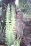 Voyage d'�tude au Paraguay