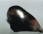 Fragment
