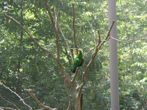 Pictures of the KC Zoo