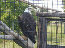 picture of Zoo Nebraska