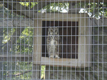 picture of Zoo Nebraska