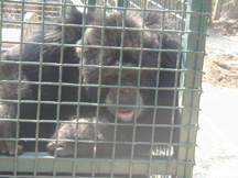 picture of Zoo Nebraska