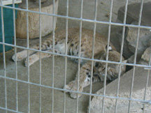 picture of Zoo Nebraska