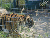 picture of Zoo Nebraska