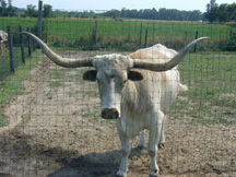picture of Zoo Nebraska