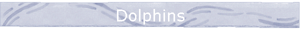 Dolphins