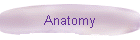 Anatomy