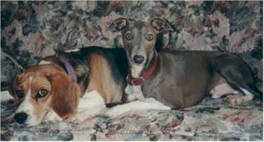Tia and Buddy