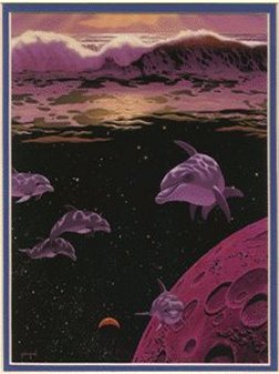 The Dolphins