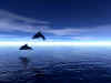 dolphins41.jpg (68734 bytes)