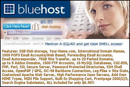 Blue Host Web Hosting and Domains