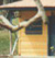 Casa di bambole nel Parco Cremerie