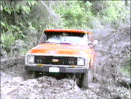 Cherry 1972 Chevy truck in mud