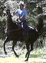 Clay riding Lucky
