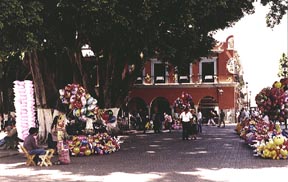 Oaxaca's Z�calo