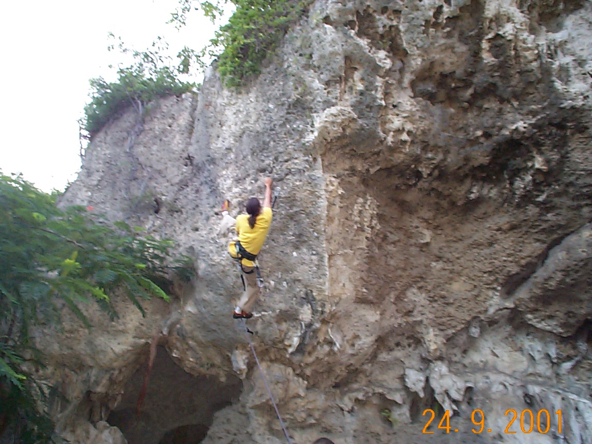 goku, "Ruta # 13"