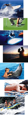 Things to Do Collage