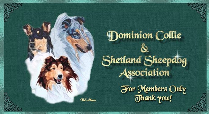 sheepdog association
