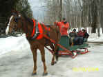 Chuck en sleigh 3.jpg (47403 octets)