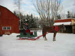 Chuck en sleigh.jpg (70787 octets)