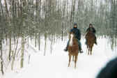 RandoHiver.jpg (37823 octets)