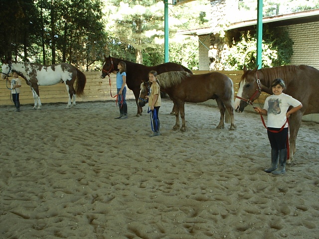 camp15.jpg (68687 octets)