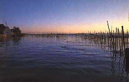 View of La Abufera, Comunidad de Valencia, Spain