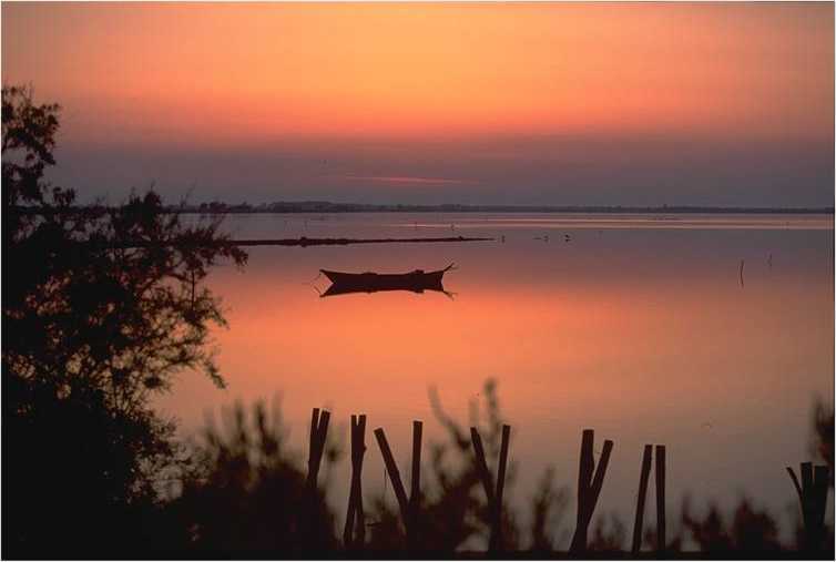 View of La Camargue, S France