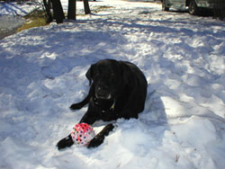 Angie winter 10 yrs old