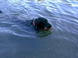 Angie swimming
