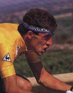 Perico Delgado