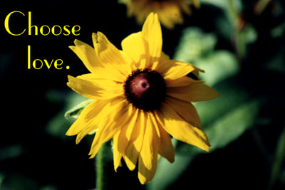 Choose Love