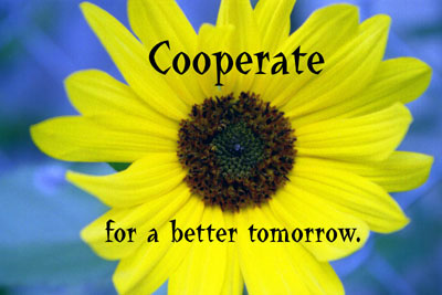  Cooperate for a better tomorrow. 