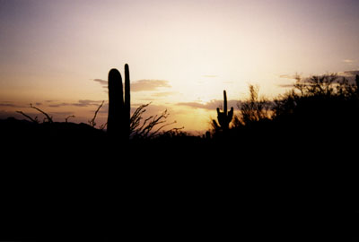  Sunset, Phoenix, Arizona, 1998 