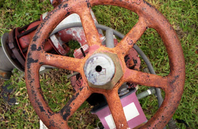  Wheel of Fortune 